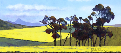 Canola Fields - Waboomkloof - Caledon District | 2020 | Oil on Canvas | 40 x 79 cm